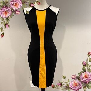 Cache Vintage Bodycon knee length Sleeveless Crew Neck dress size 4‎